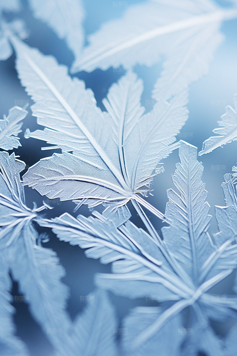 霜降季节节气摄影图