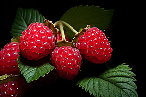 树莓美味美食摄影图