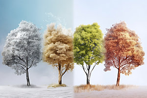 树木拼接高清四季轮回摄影图