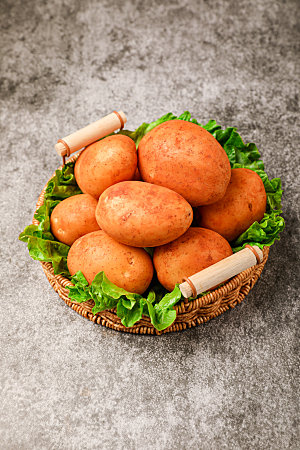 土豆洋芋马铃薯摄影图
