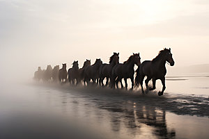 万马奔腾驰骋奔跑的马摄影图