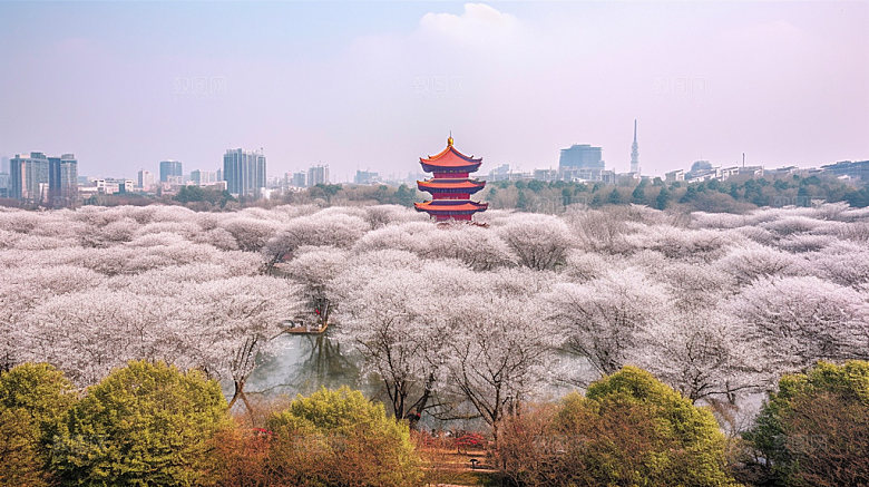 武汉景色旅游摄影图