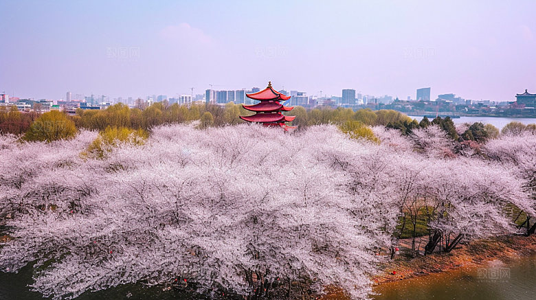 武汉景点旅游摄影图