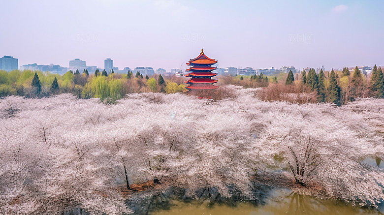武汉景色景点摄影图