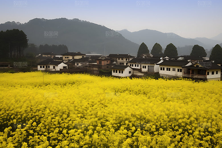 婺源梯田江西摄影图