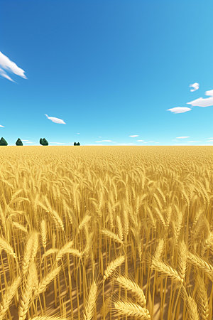 小麦自然农田素材