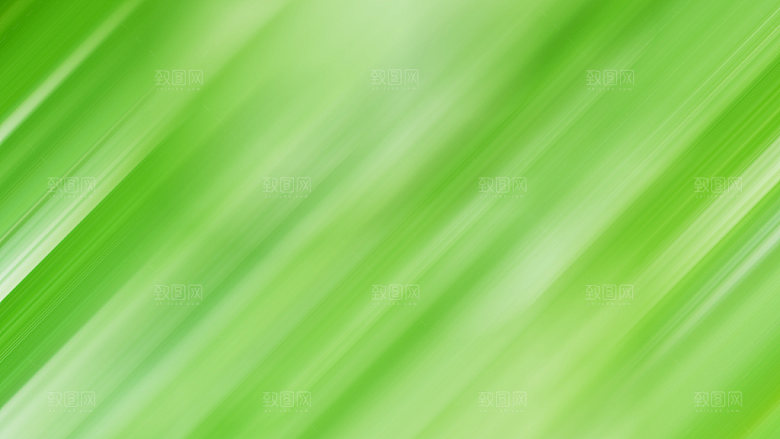 绿色渐变森林背景