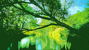 绿色森林纹理背景
