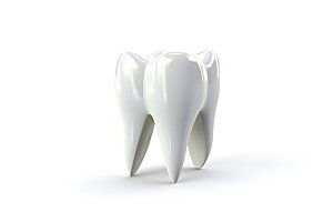 牙齿医疗口腔模型
