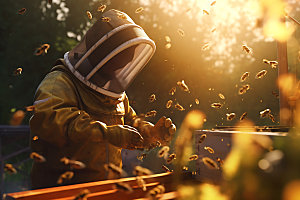 养蜂蜜蜂养殖采蜜摄影图