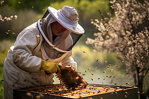 养蜂蜜蜂养殖食品摄影图