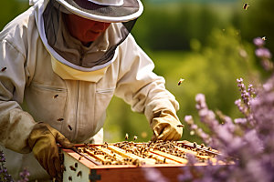 养蜂食品蜂蜜制作摄影图