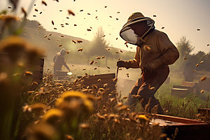 养蜂食品蜜蜂养殖摄影图