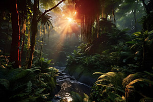 雨林探险风光户外摄影图