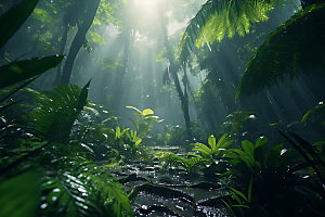雨林探险自然森林摄影图