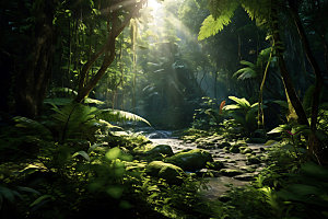 雨林探险热带雨林户外摄影图