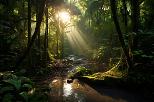 雨林探险冒险自然摄影图