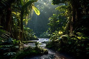 雨林探险风光热带雨林摄影图