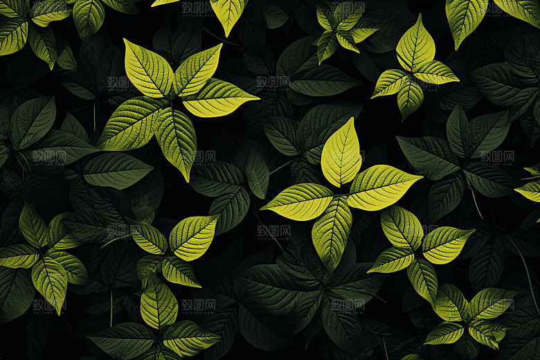 植物清新绿色背景图