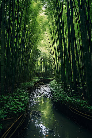 竹林绿色高清摄影图